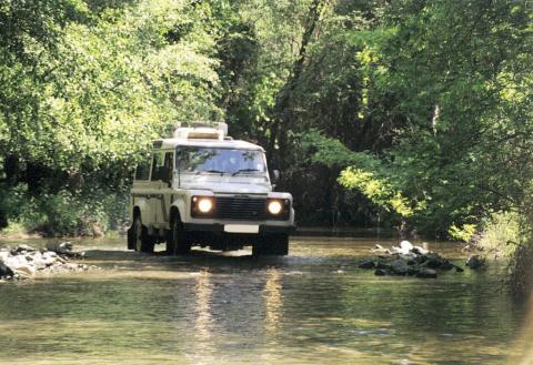 jeep safari